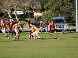 DSC_0117.jpg