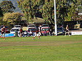 DSC_0122.jpg