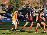 DSC_0192.jpg